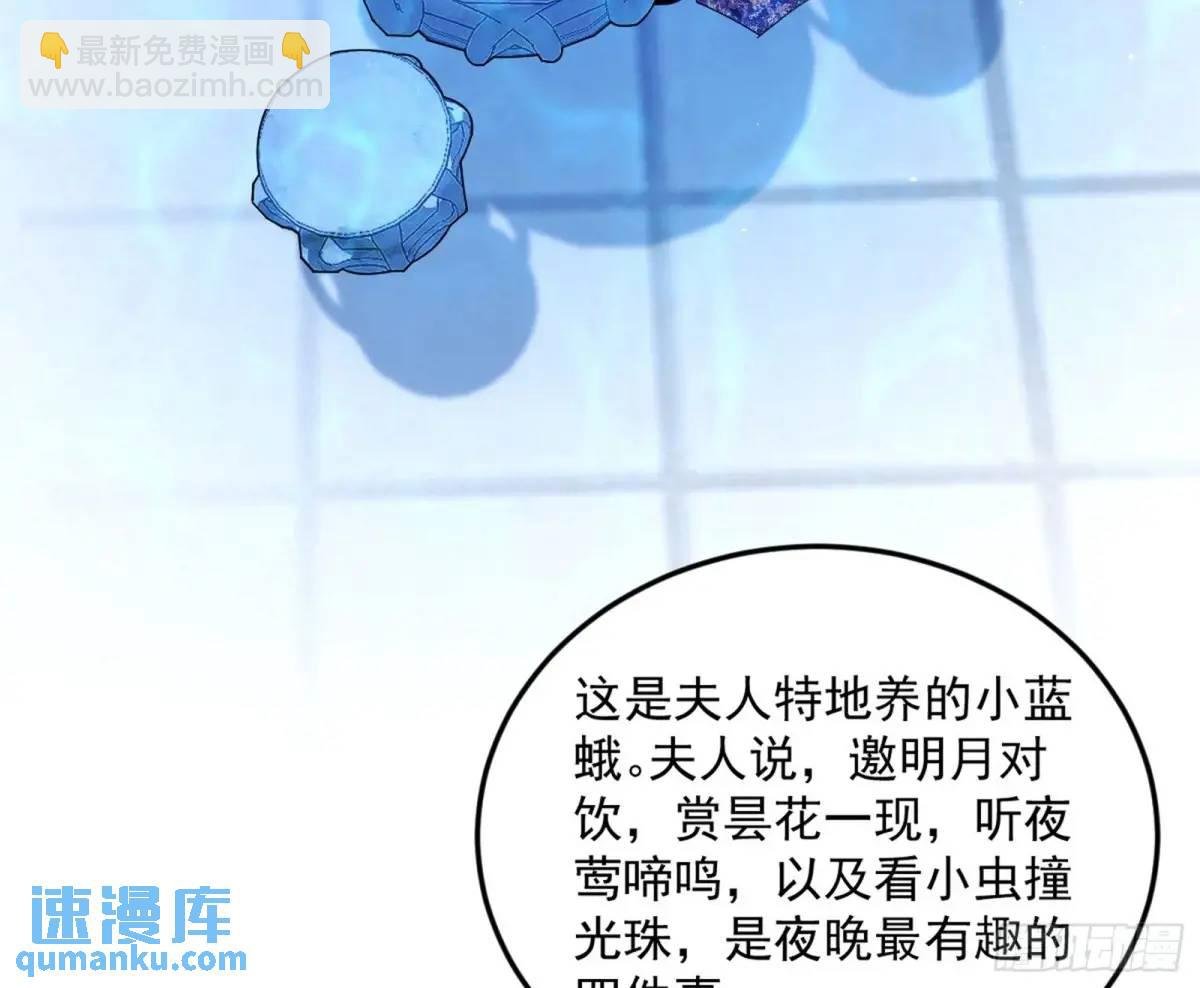 公孙长老的垂青