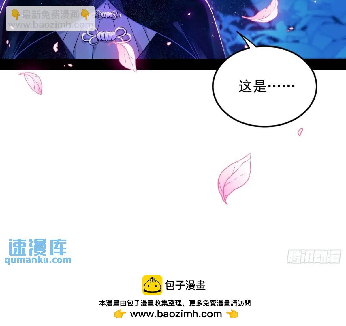公孙长老的垂青