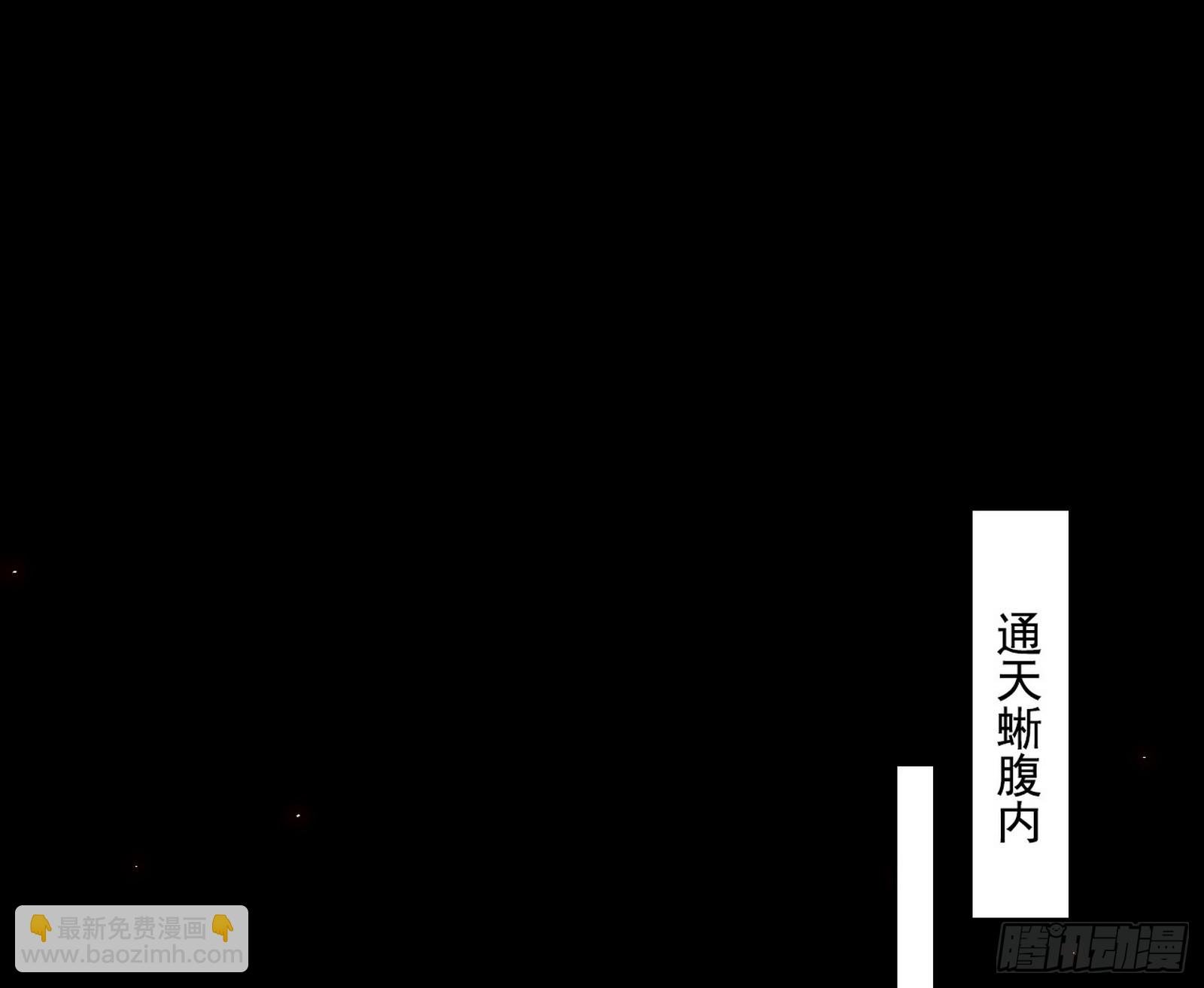 来自五星灵的降维打击