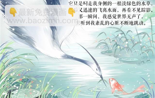 鱼恋(完)