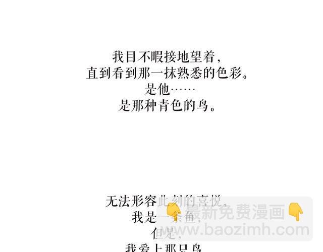 鱼恋(完)