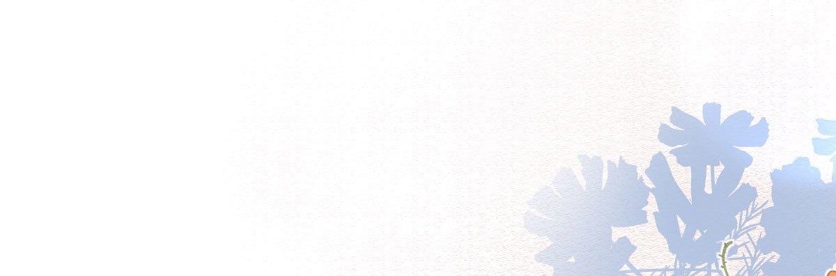 第59话：舔狗