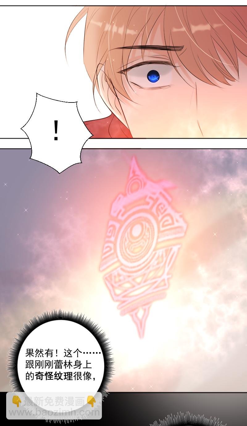 第41话 发现（上）