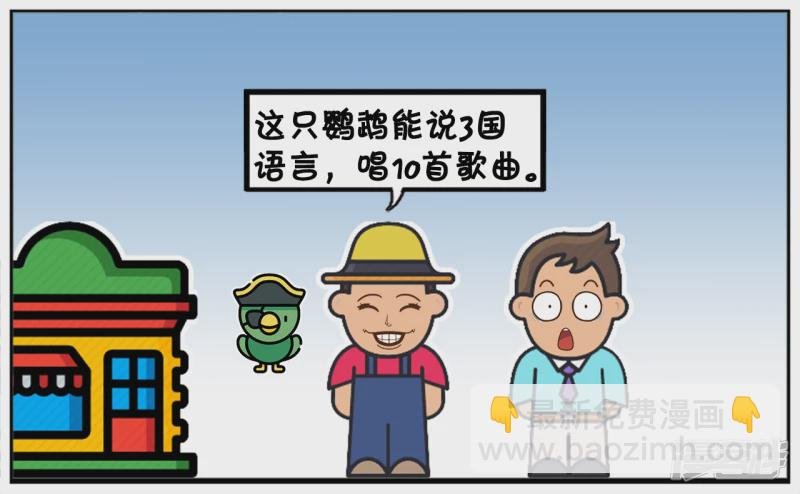 妈妈的生日，子阳送了只鹦鹉