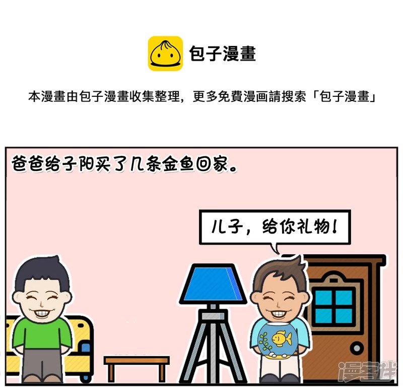 爸爸给子阳买了几条金鱼回家