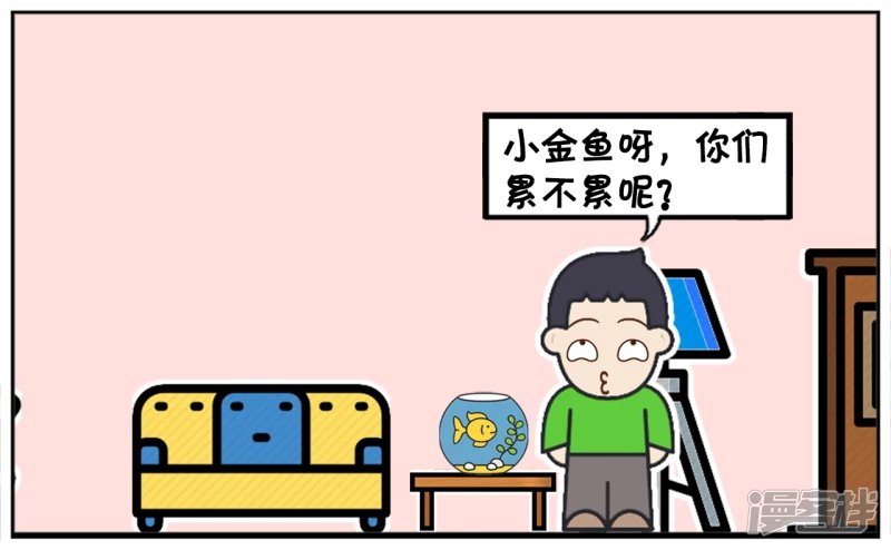 爸爸给子阳买了几条金鱼回家