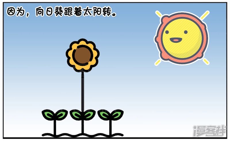 子阳不怕鬼却怕向日葵