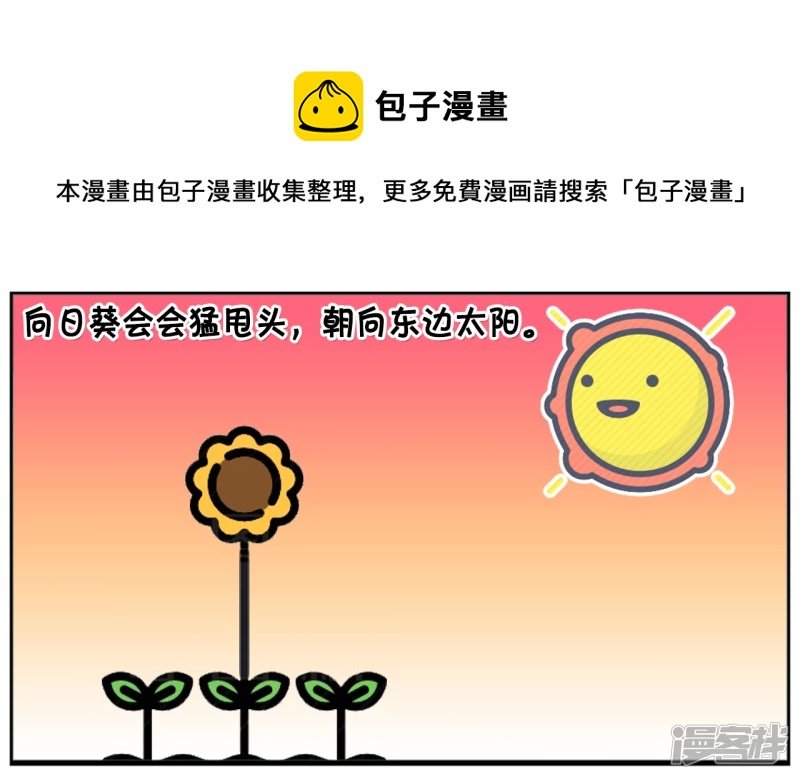 子阳不怕鬼却怕向日葵