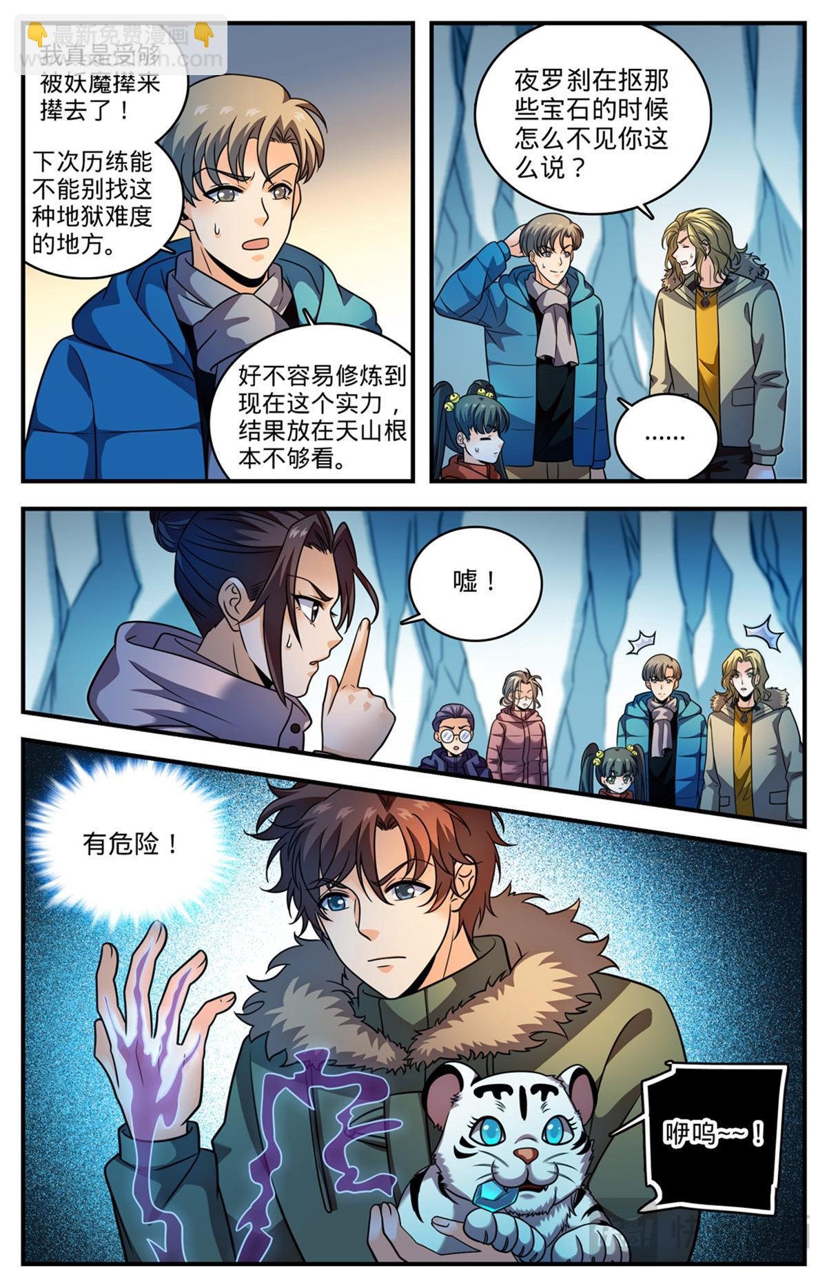 1078 天痕白虎