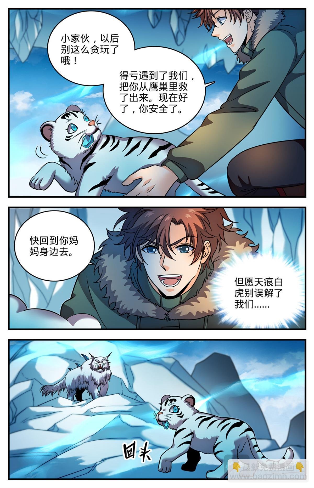 1078 天痕白虎