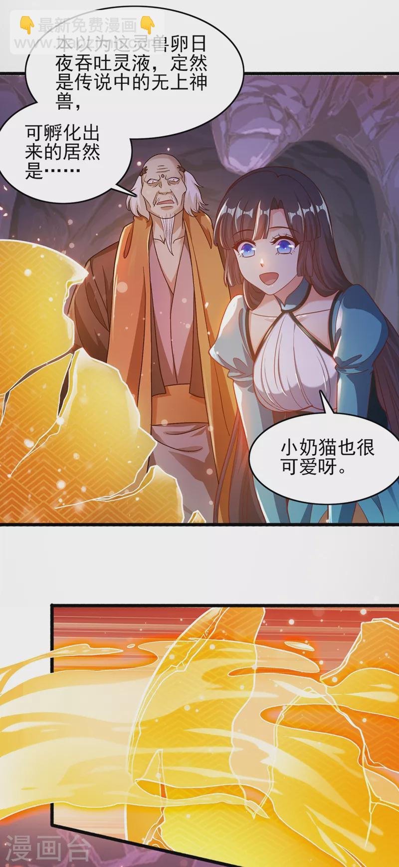 第422话 灵兽卵里孵出小奶猫
