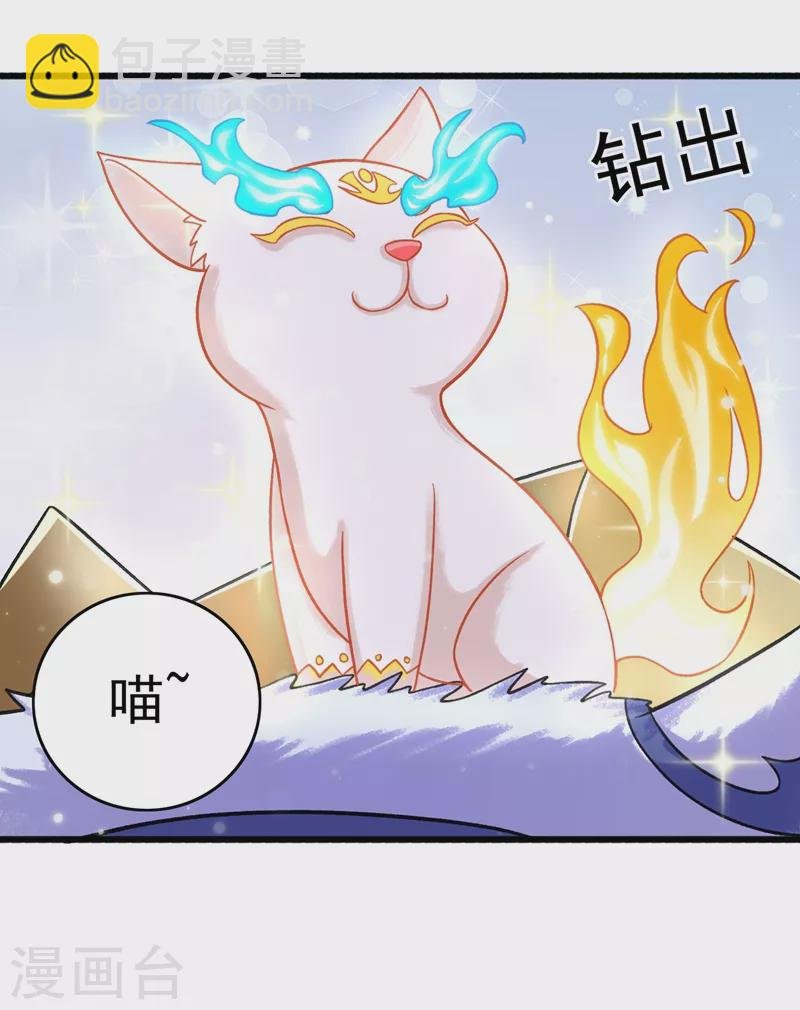 第422话 灵兽卵里孵出小奶猫