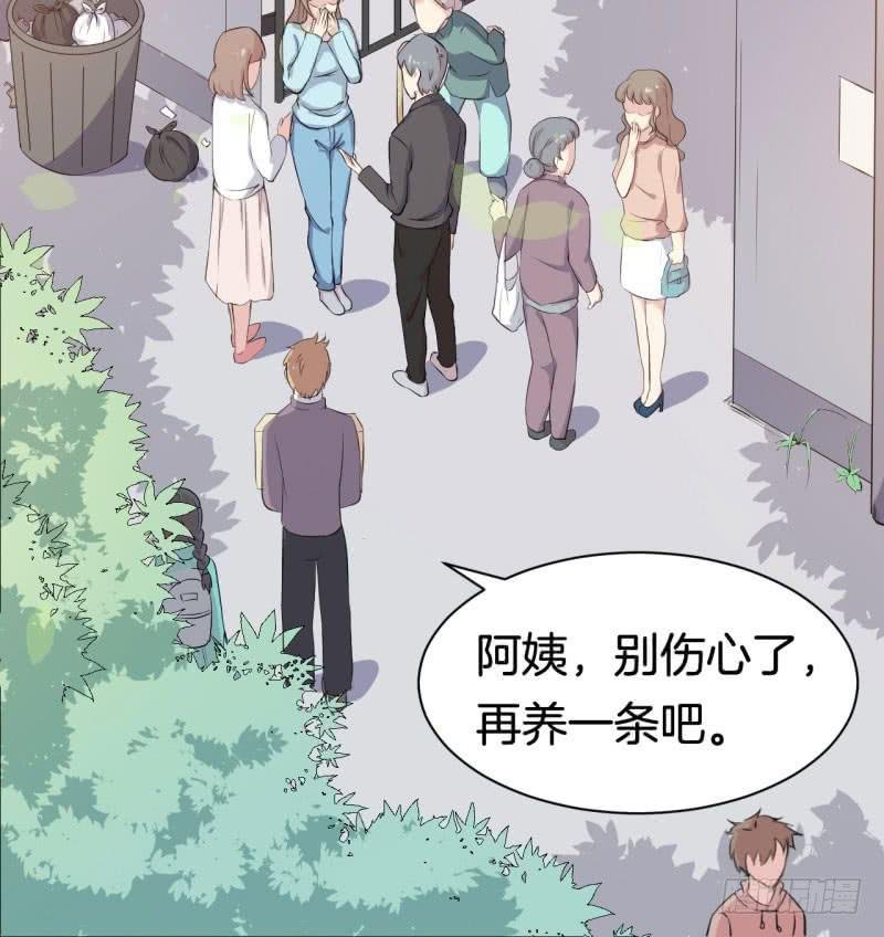 033黑眼圈不是坏妖怪（一）