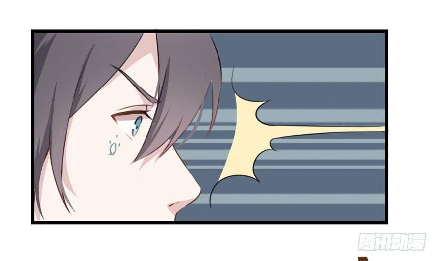 002 茕茕白兔