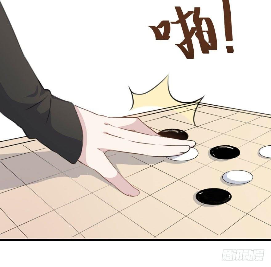 002 茕茕白兔