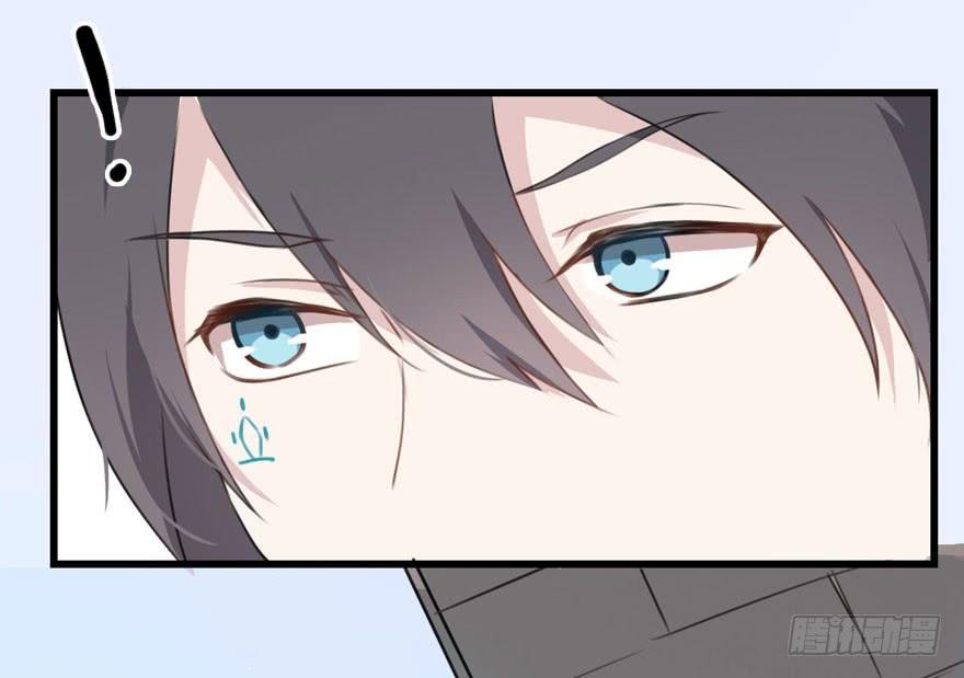 002 茕茕白兔