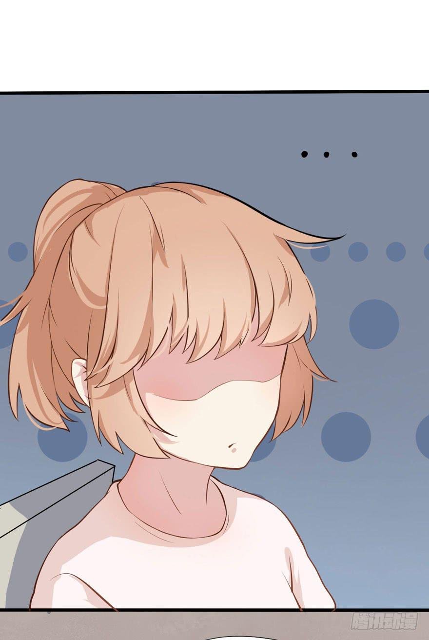 002 茕茕白兔