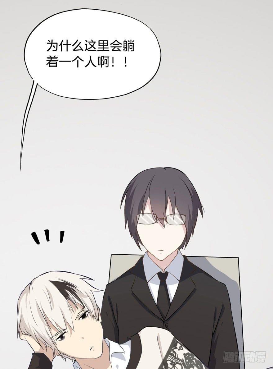 002 茕茕白兔
