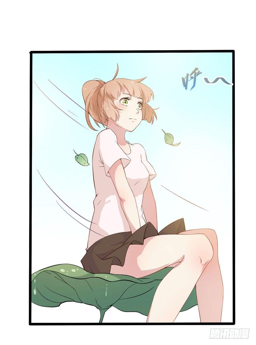 002 茕茕白兔