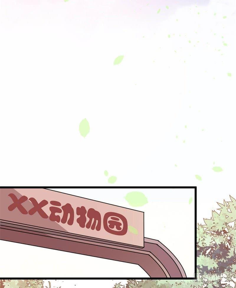 041黑眼圈不是坏妖怪（九）