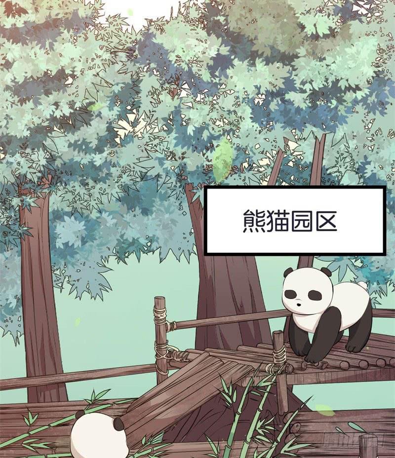 041黑眼圈不是坏妖怪（九）