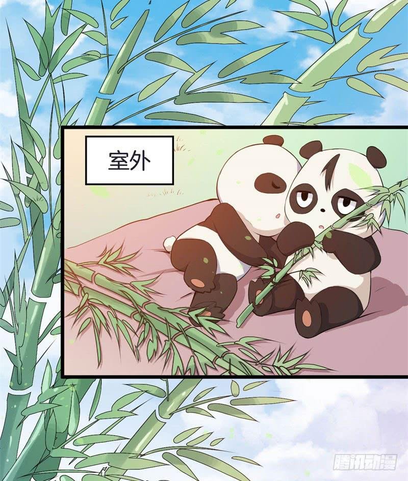 041黑眼圈不是坏妖怪（九）