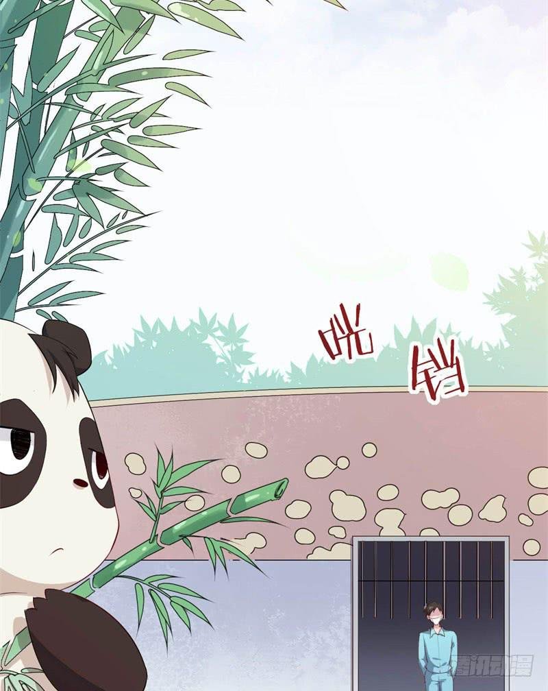 041黑眼圈不是坏妖怪（九）