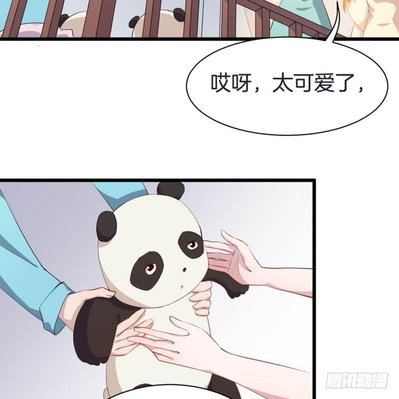 041黑眼圈不是坏妖怪（九）