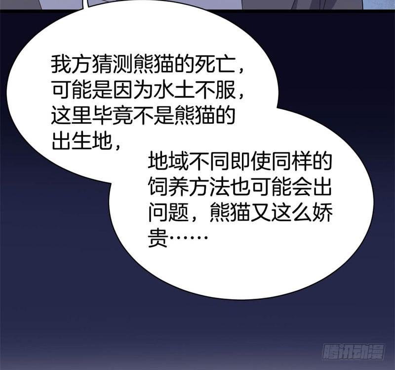 041黑眼圈不是坏妖怪（九）