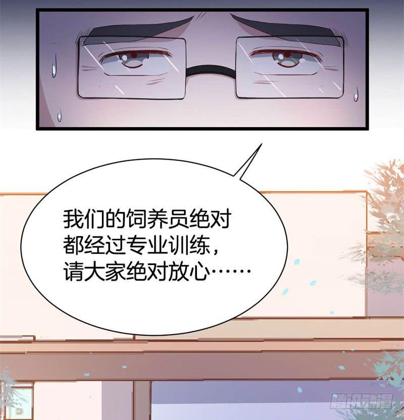 041黑眼圈不是坏妖怪（九）