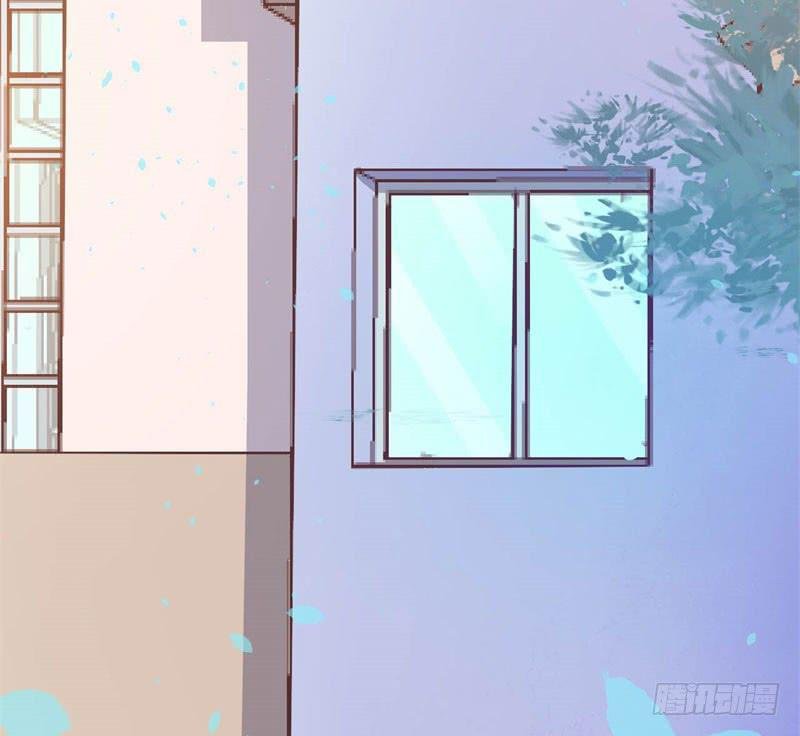 041黑眼圈不是坏妖怪（九）
