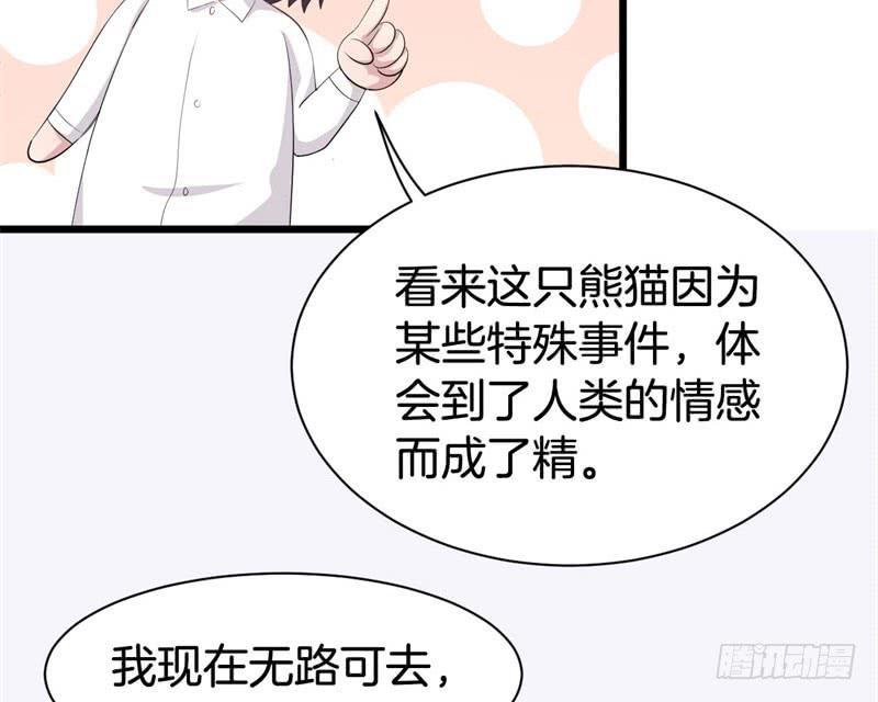 042黑眼圈不是坏妖怪（十）