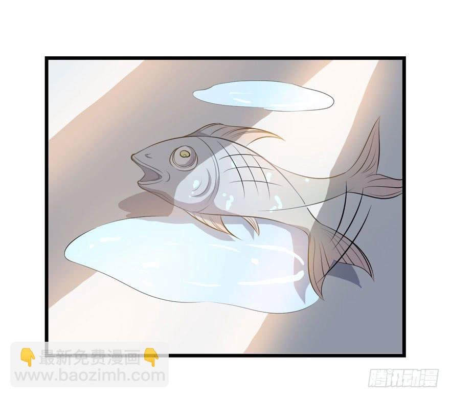 003电梯公寓里的龙宫仙境（一）