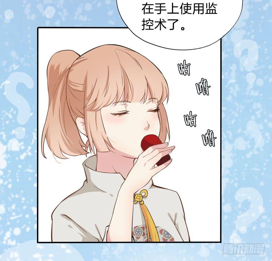 003电梯公寓里的龙宫仙境（一）