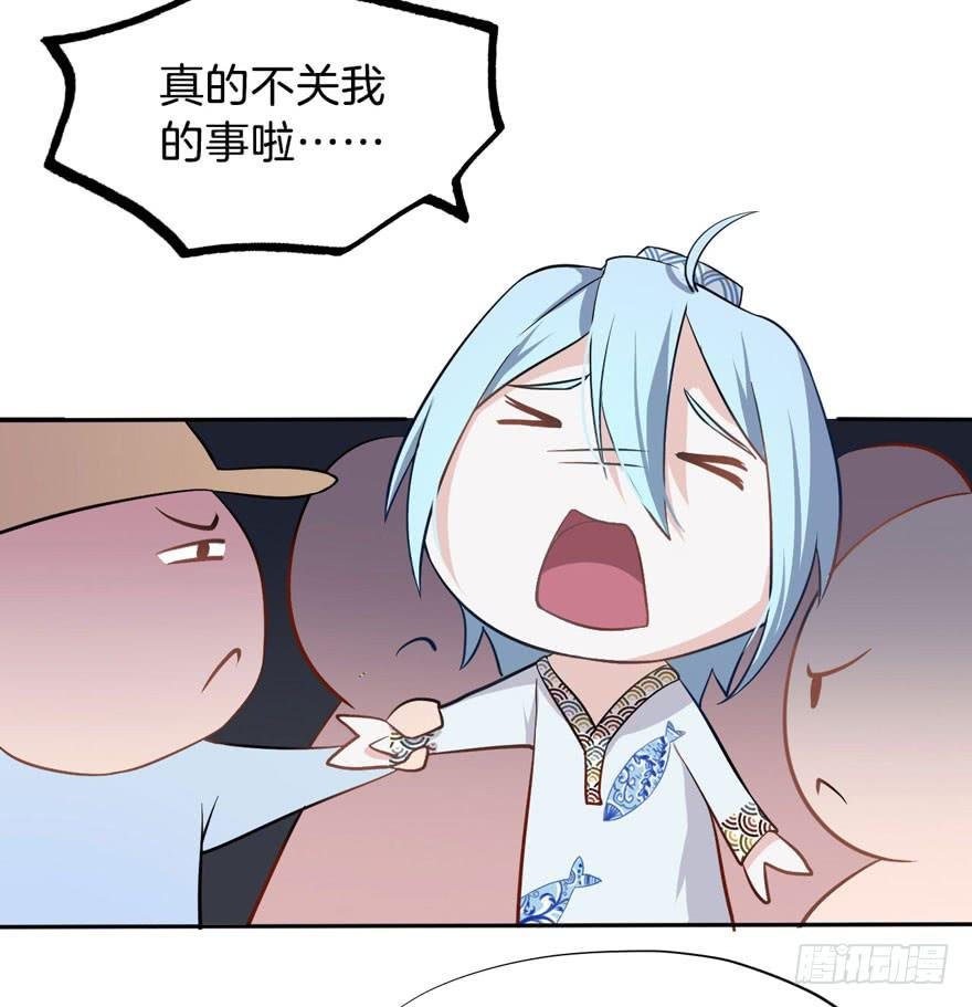 003电梯公寓里的龙宫仙境（一）