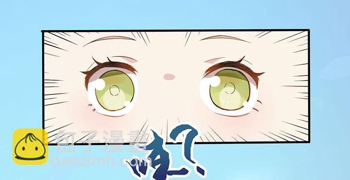 004电梯公寓里的龙宫仙境（二）