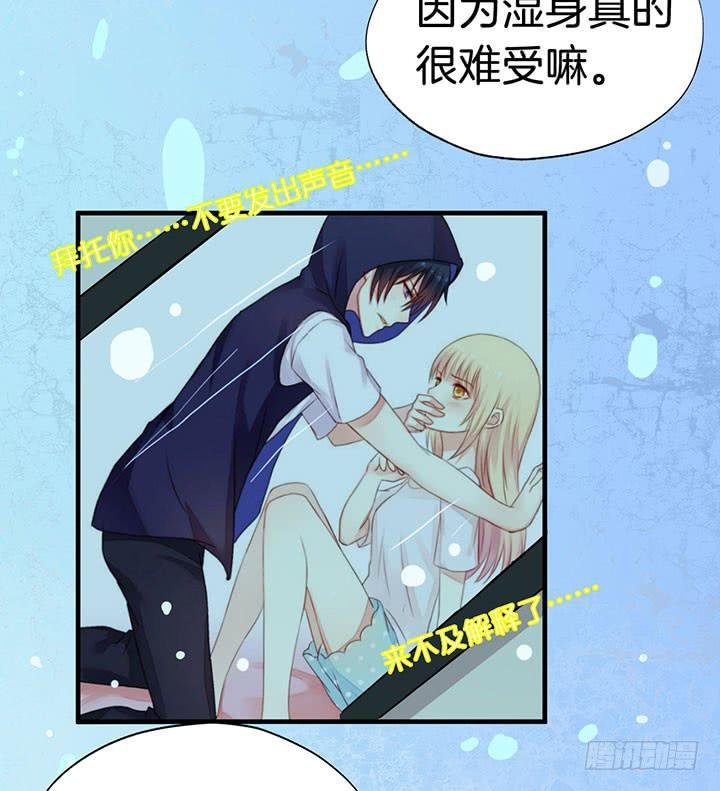 004电梯公寓里的龙宫仙境（二）