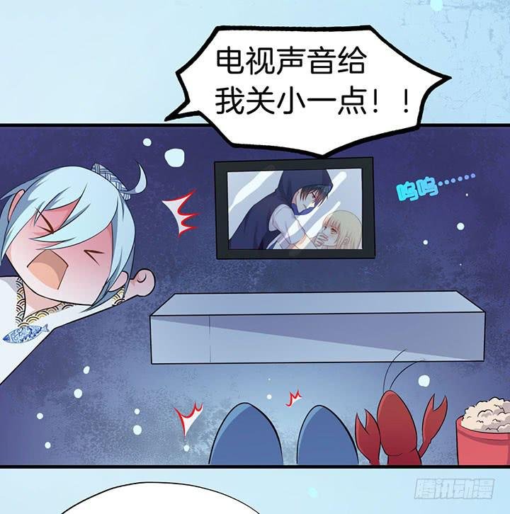 004电梯公寓里的龙宫仙境（二）