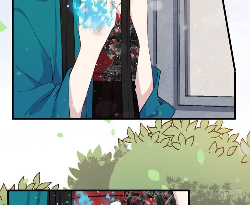 069玉总的秘密