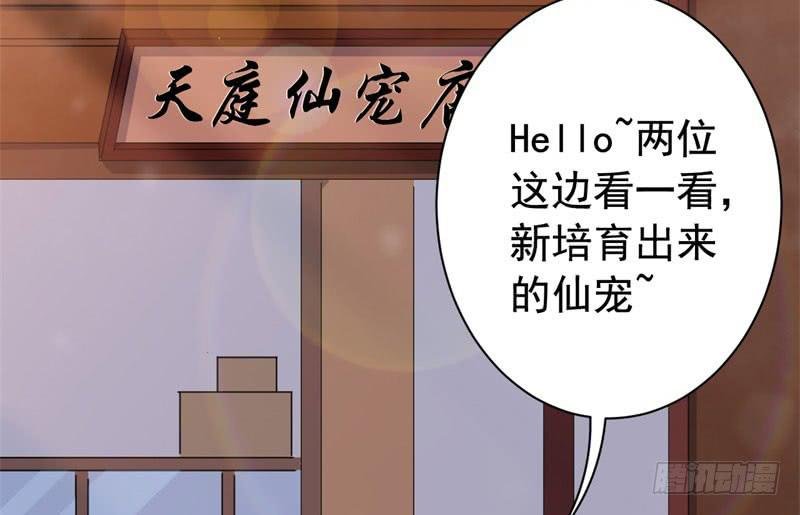 071仙宠