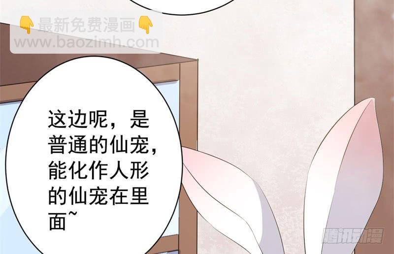 071仙宠