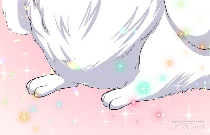 071仙宠