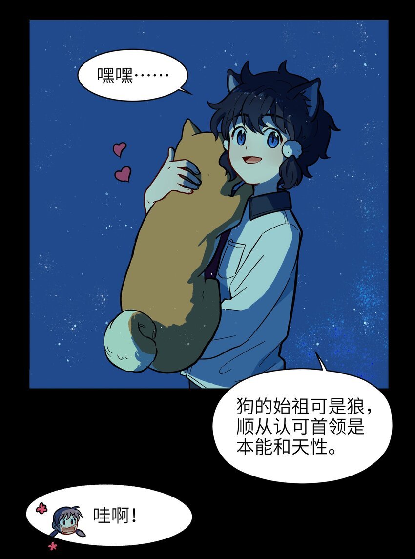 005 狗的始祖可是狼噢！