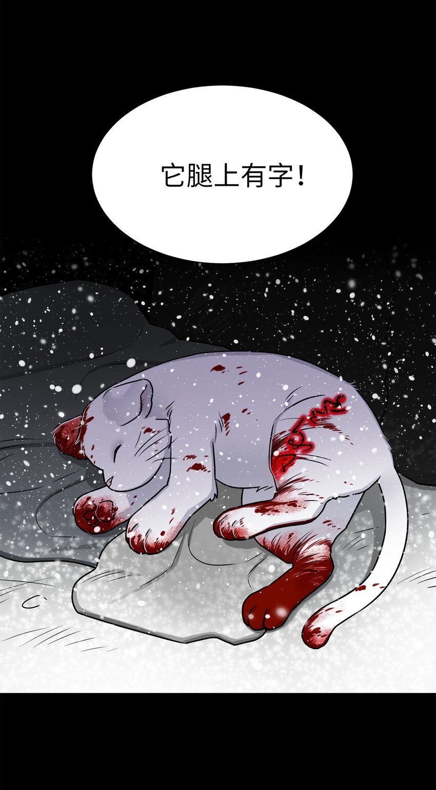 02 小蝴蝶