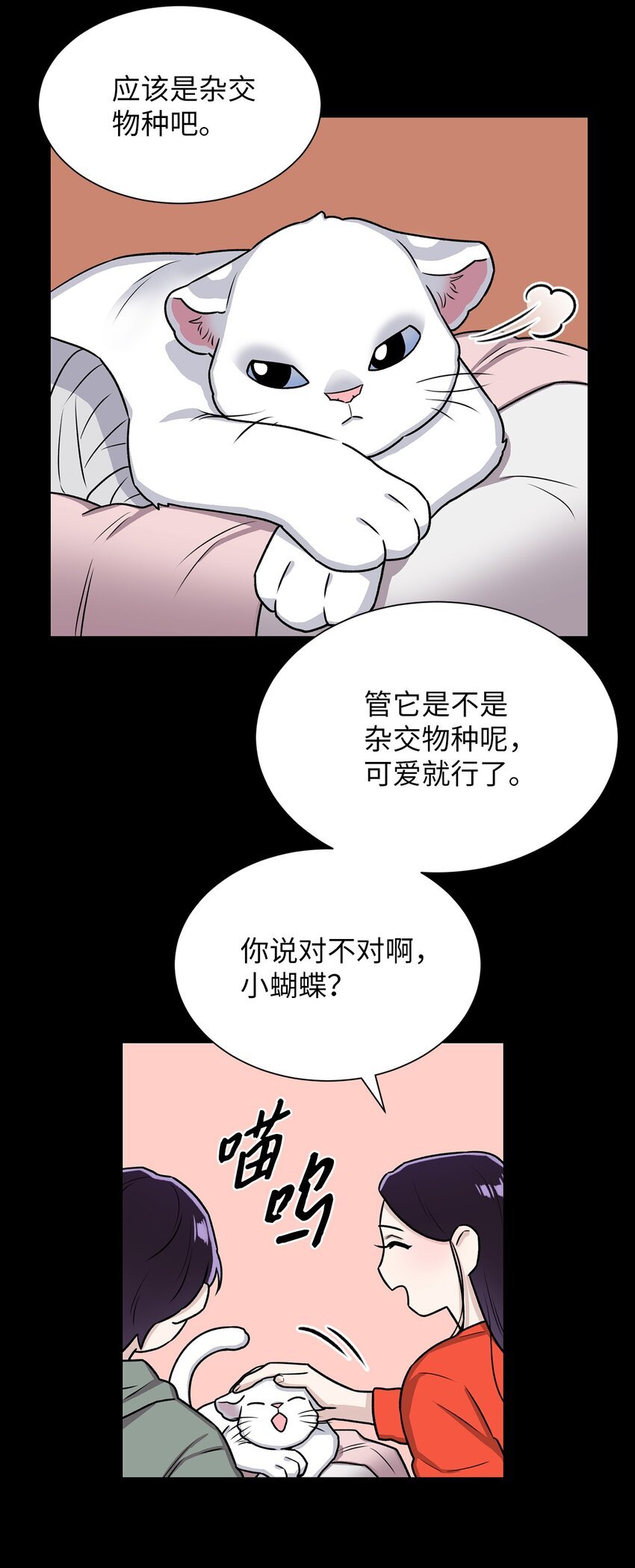 02 小蝴蝶
