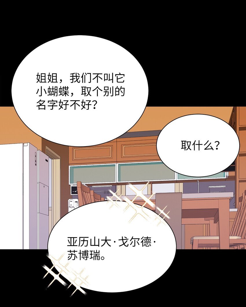 02 小蝴蝶