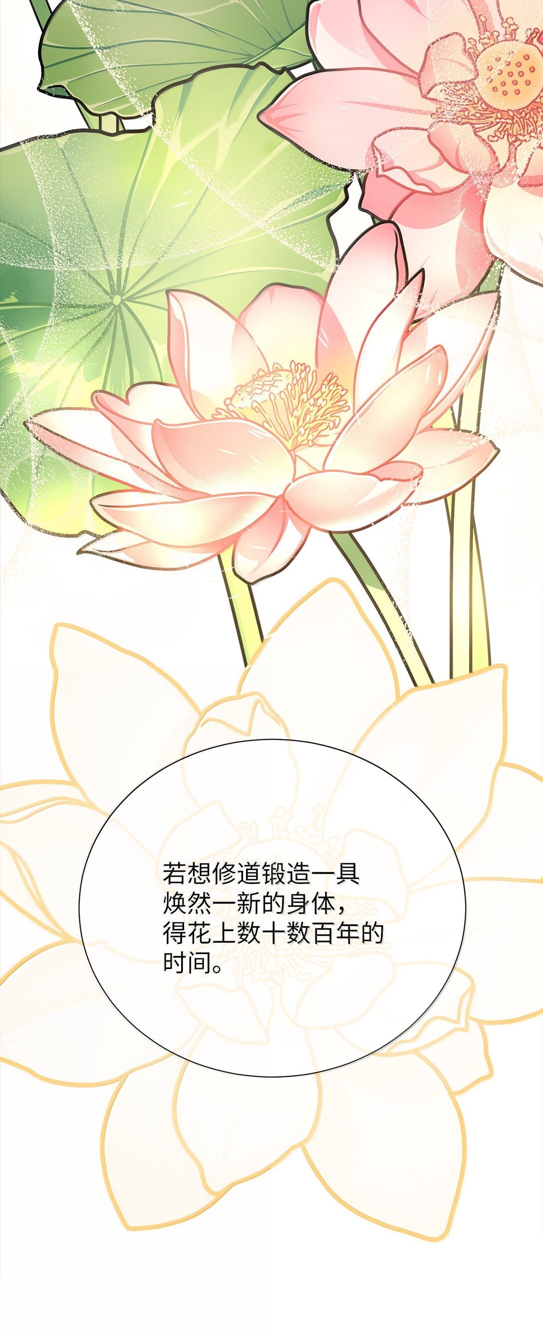 50 全泠花