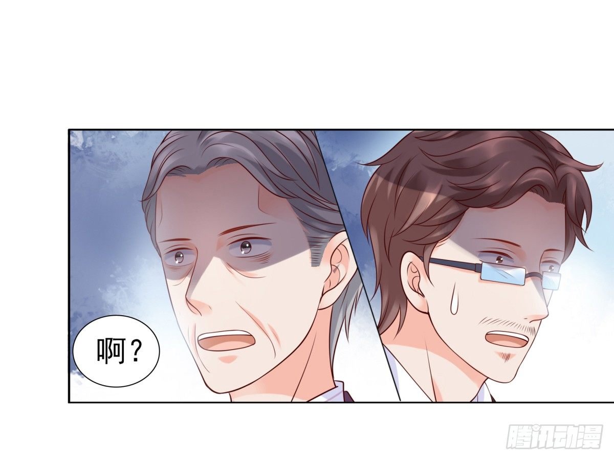 集团掌门人
