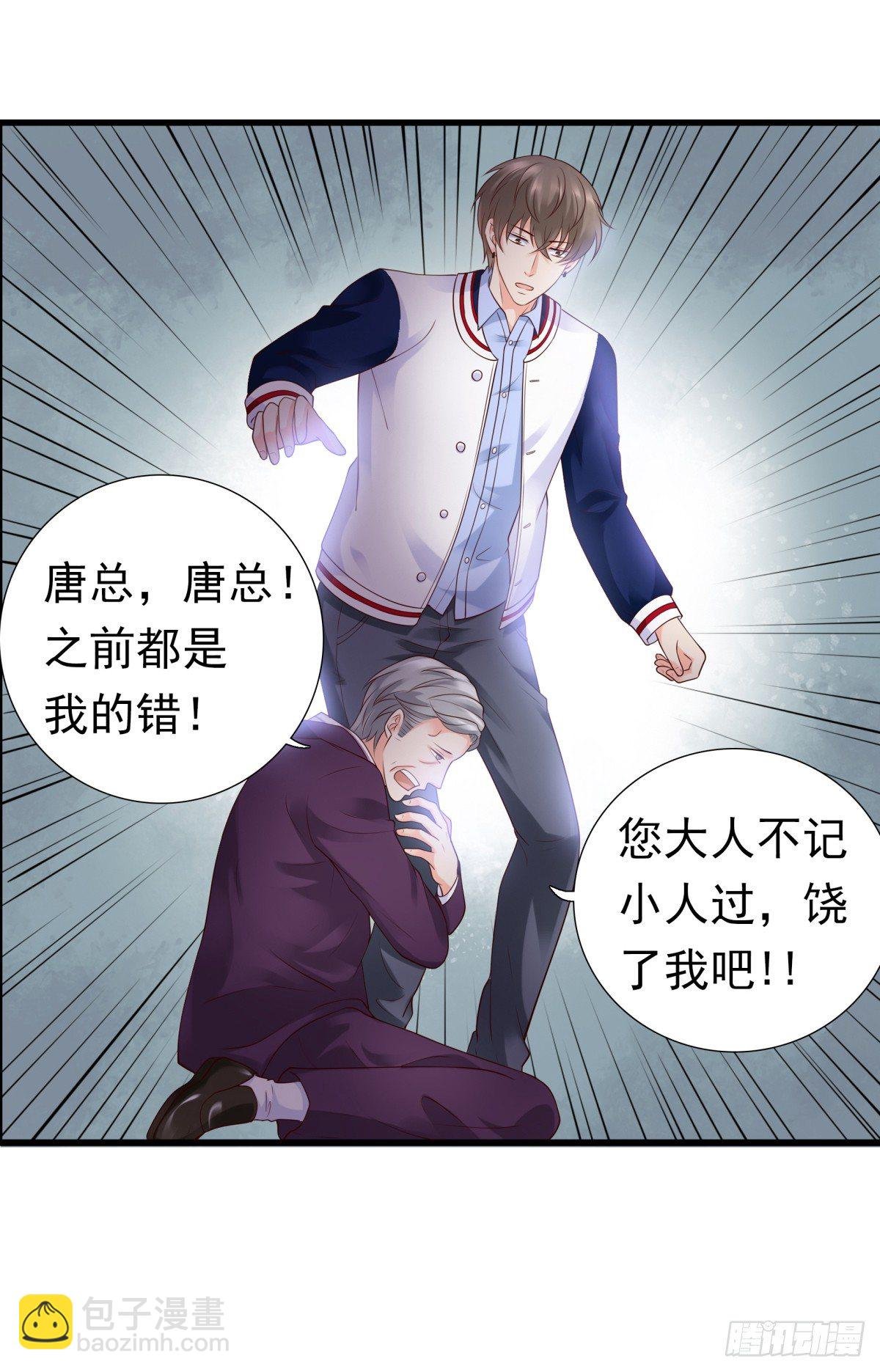 集团掌门人