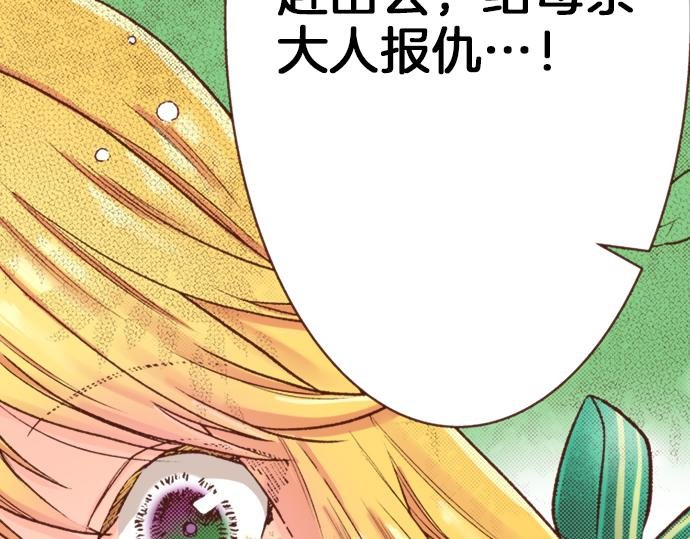 第15话 好久不见！